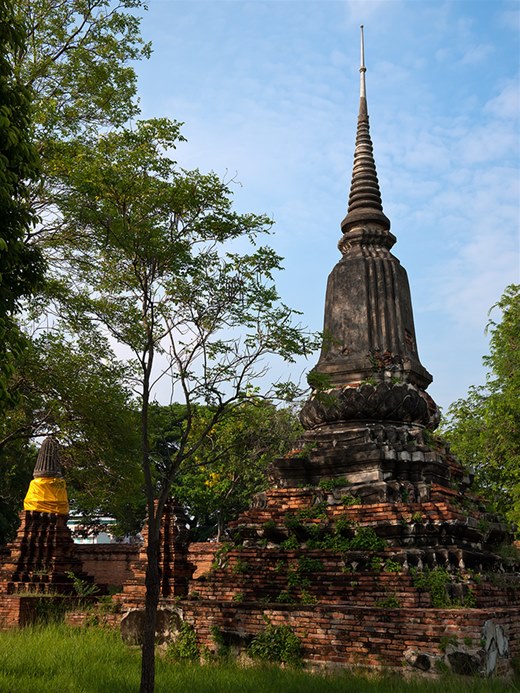 Temples In The Forest