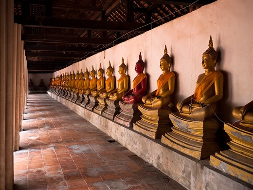 Wall Of Buddhas